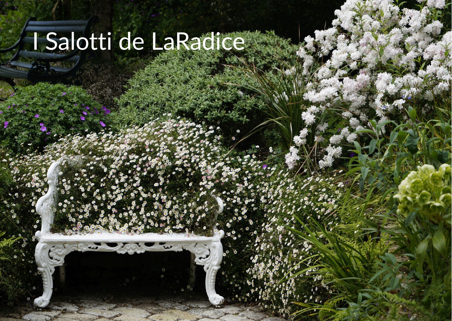 I Salotti de La Radice